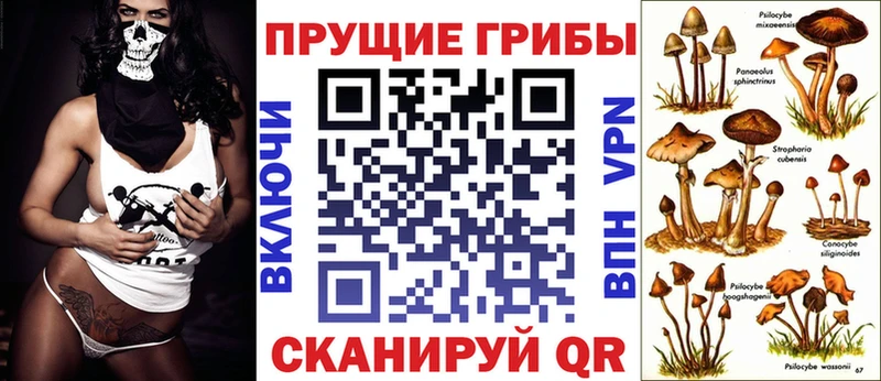 Купить где  Каспийск  Галлюциногенные грибы мухоморы 